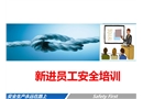 新進企業(yè)員工安全培訓教材