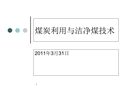 煤炭利用與清潔煤技術(shù)