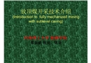 放頂煤開(kāi)采技術(shù)