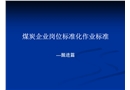 煤炭企業(yè)崗位標(biāo)準(zhǔn)化作業(yè)標(biāo)準(zhǔn)