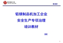 鋁鎂制品機加工企業(yè)安全生產專項治理培訓教材