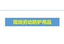 現(xiàn)場勞動防護用品的使用和管理