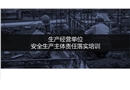 生產(chǎn)經(jīng)營單位安全生產(chǎn)主體責(zé)任落實(shí)培訓(xùn)