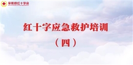 應(yīng)急救護培訓(xùn) 第四課 常見疾病和意外傷害的救護