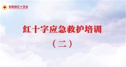 應(yīng)急救護培訓(xùn) 第二課 創(chuàng)傷維護