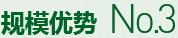 購(gòu)買(mǎi)蔬菜種子，鼎牌優(yōu)勢(shì)三