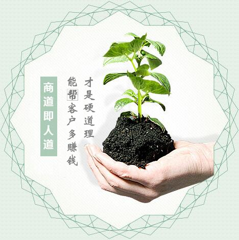 蔬菜種子經(jīng)營(yíng)，商道即人道