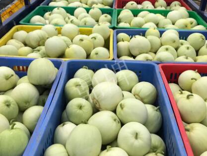 蔬菜種子種植戶客戶點評-5元1斤，這個新品種真香甜！