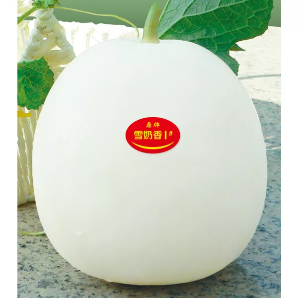 薄皮甜瓜，哪個(gè)品種最好呢？畝產(chǎn)高達(dá)10萬(wàn)，附4種市場(chǎng)爆款品種