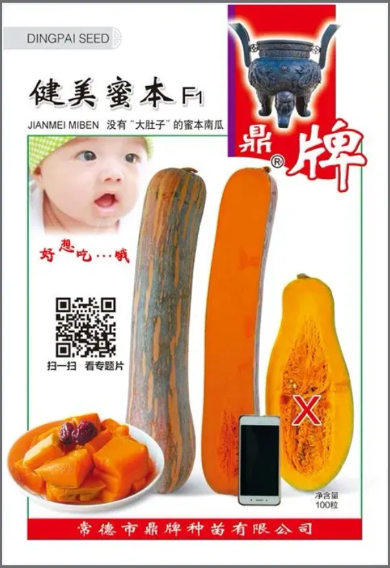 3元1斤的健美蜜本南瓜快成熟了，緬甸種植戶發(fā)來(lái)圖片與視頻