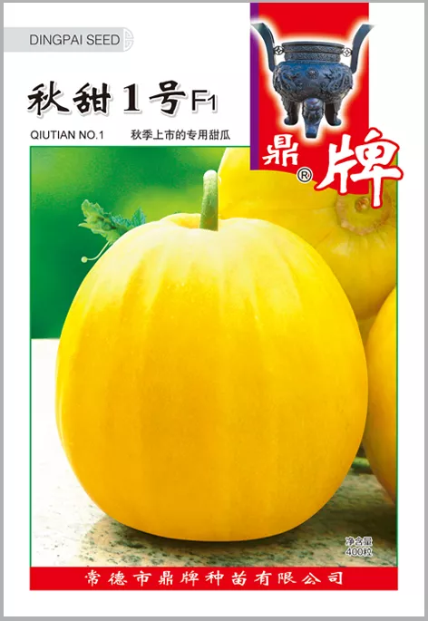 高溫季節(jié)種植甜瓜，什么品種最好？這個(gè)品種是秋季上市的專用品種