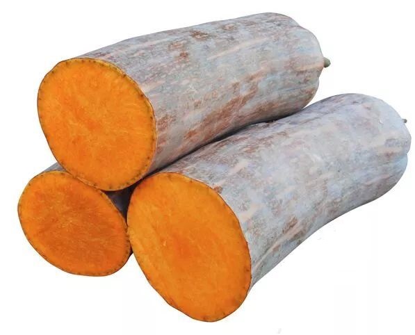 生吃都好吃南瓜新品種，沒有大肚子，肉質(zhì)更密致，農(nóng)戶試種下