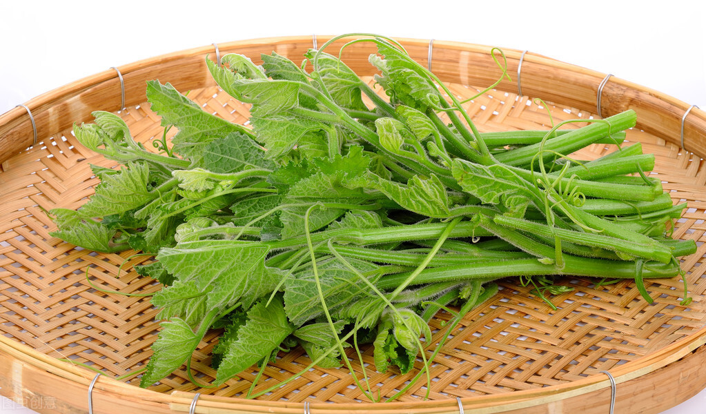 種這種綠葉菜，栽培輕松，畝產(chǎn)值過萬元，菜農(nóng)表示很劃算