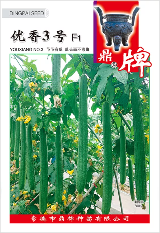 它是絲瓜種植戶的新選擇，節(jié)節(jié)有瓜，瓜長(zhǎng)而不彎曲