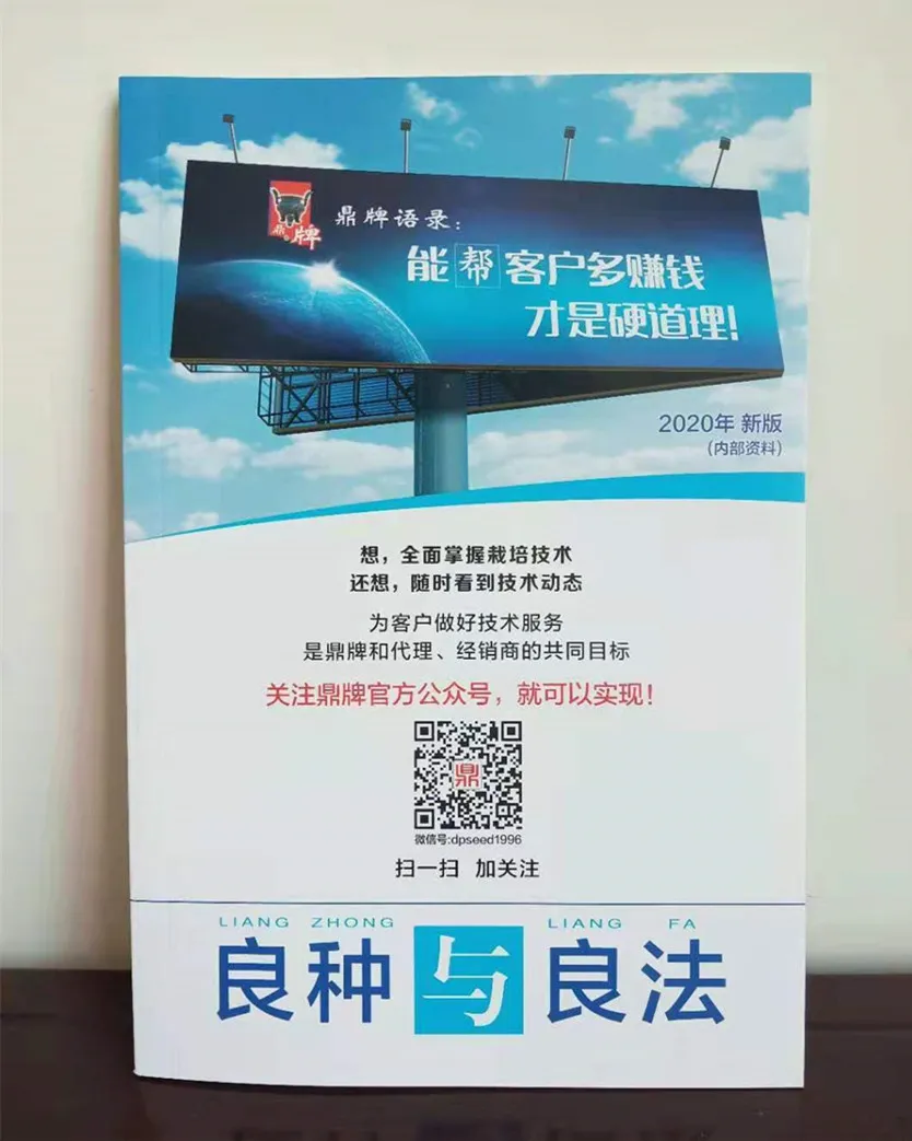 河南焦作的李向林今年種植甜瓜新品種，客戶直接拉貨走人