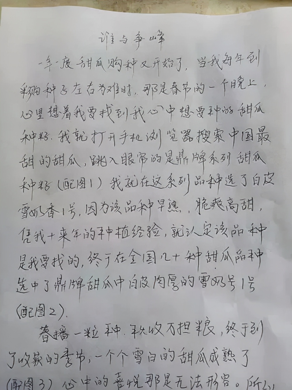 河南焦作的李向林今年種植甜瓜新品種，客戶直接拉貨走人