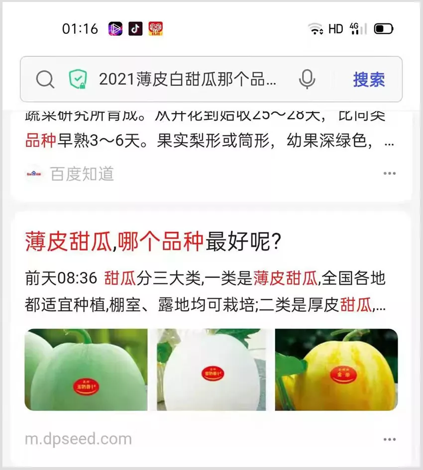 河南焦作的李向林今年種植甜瓜新品種，客戶直接拉貨走人