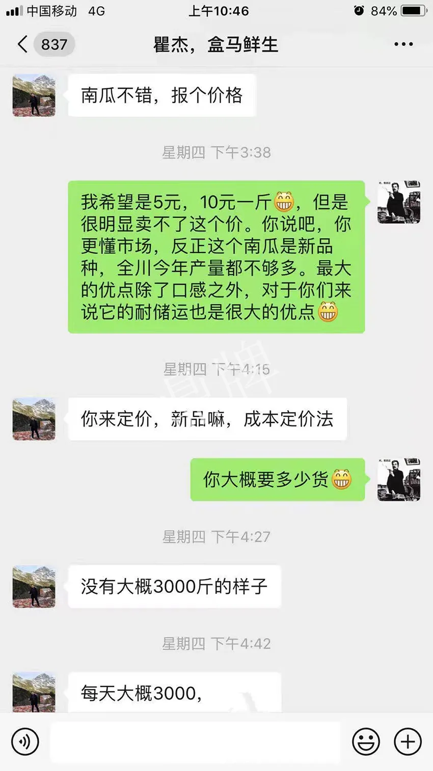 四川農(nóng)戶今年種“健美蜜本”南瓜產(chǎn)量高，品質(zhì)好，感覺巴適得很