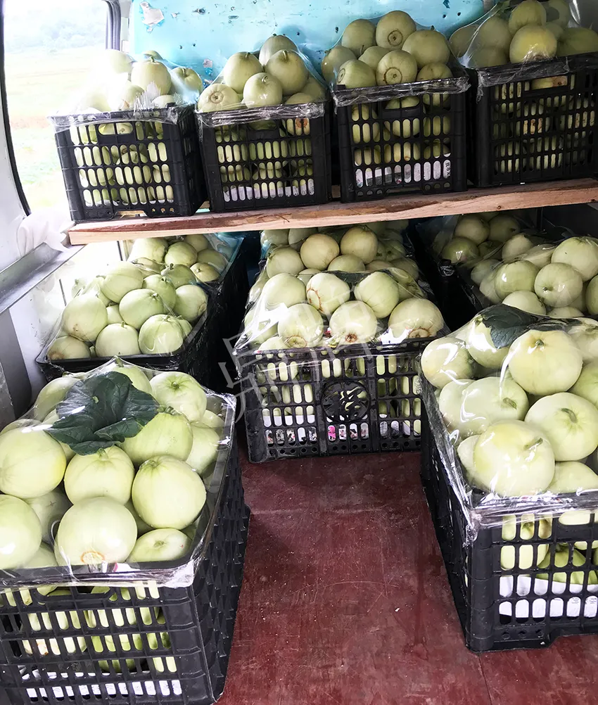 郴州農(nóng)戶種植新品種，果實(shí)又香又甜，很好賣(mài)