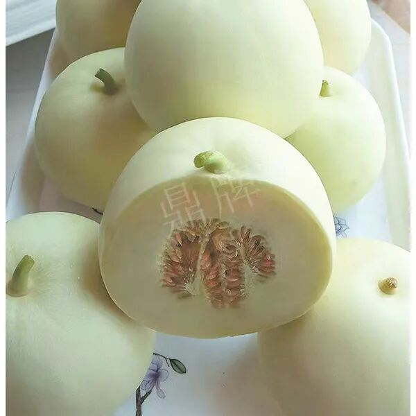 蔬菜種子種植戶種植心得-這個品種幫我留一些，4月份我們當(dāng)?shù)剡€要種一批